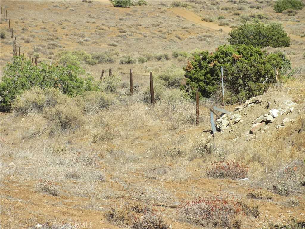 photo 3: Governor Mine Road, Acton CA 93510