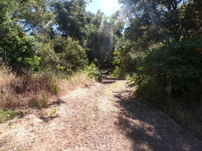 photo 2: 5235 konocti Road, Kelseyville CA 95451