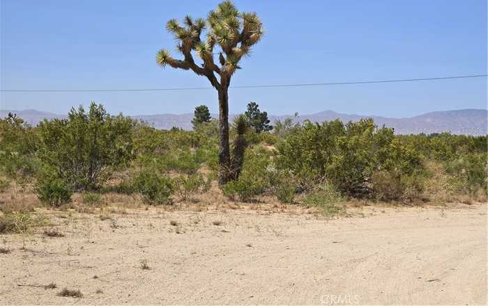 photo 2: Montiverde Road, Mojave CA 93501