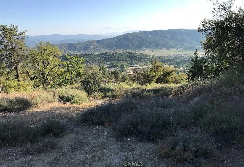 photo 2: 24091 Jacaranda Drive, Tehachapi CA 93561