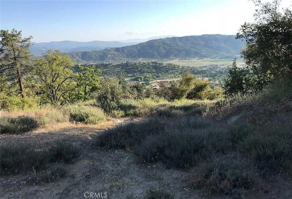 photo 3: 24091 Jacaranda Drive, Tehachapi CA 93561