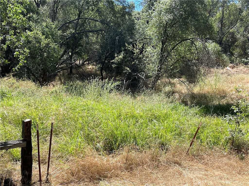 photo 1: 612 Usona Road, Mariposa CA 95338