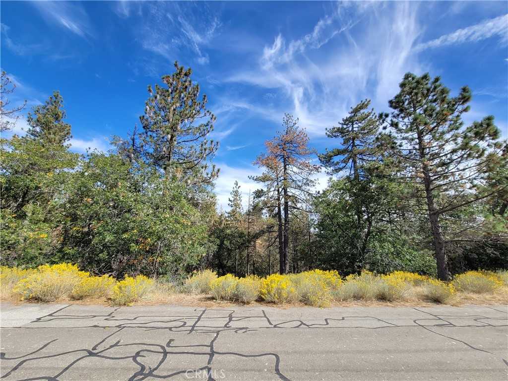 photo 1: 25840 Wilderness Way, Tehachapi CA 93561