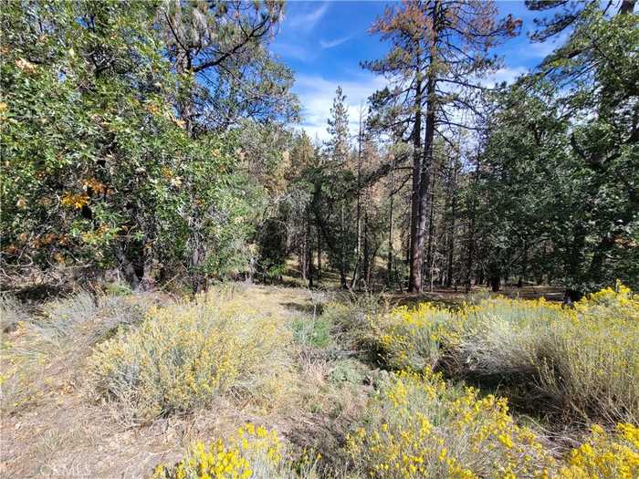 photo 2: 25840 Wilderness Way, Tehachapi CA 93561