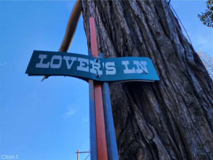 photo 13: Lovers Lane, Rimforest CA 92378