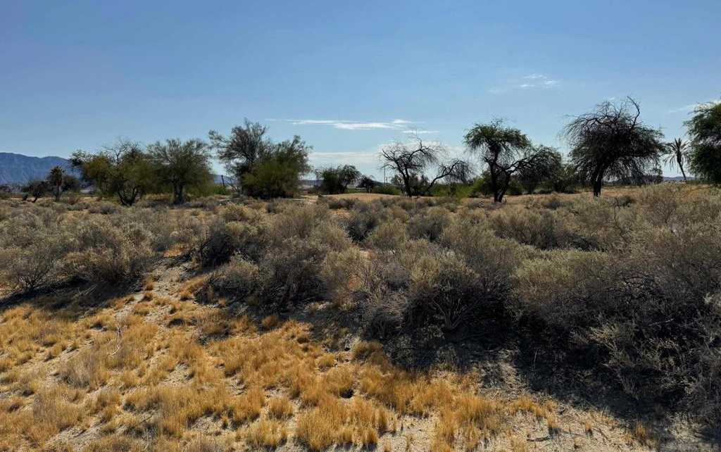 photo 2: Foursome Dr, Borrego Springs CA 92004