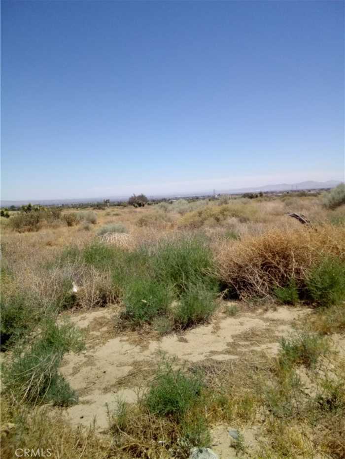 photo 2: Centola Road, Phelan CA 92371