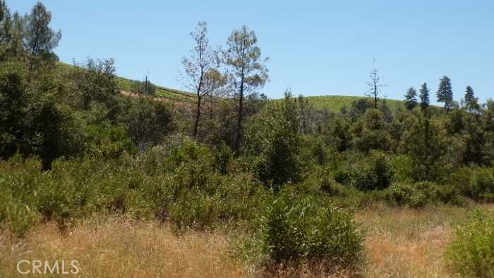 photo 8: 1105 Round Mountain Road, Clearlake Oaks CA 95423