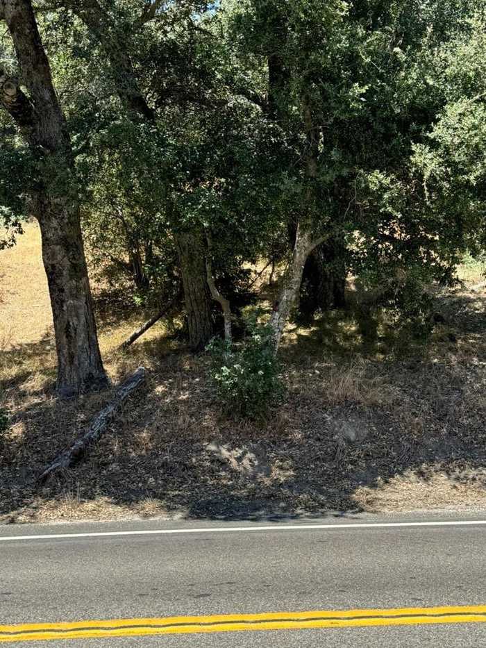 photo 2: 2655 LOT A RD., Julian CA 92036