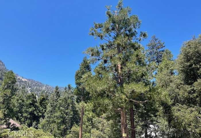 photo 1: 41489 Island Drive, Forest Falls CA 92339