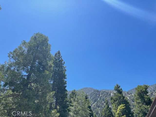 photo 3: 41489 Island Drive, Forest Falls CA 92339