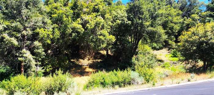 photo 2: 2512 Woodland Drive, Pine Mountain Club CA 93222