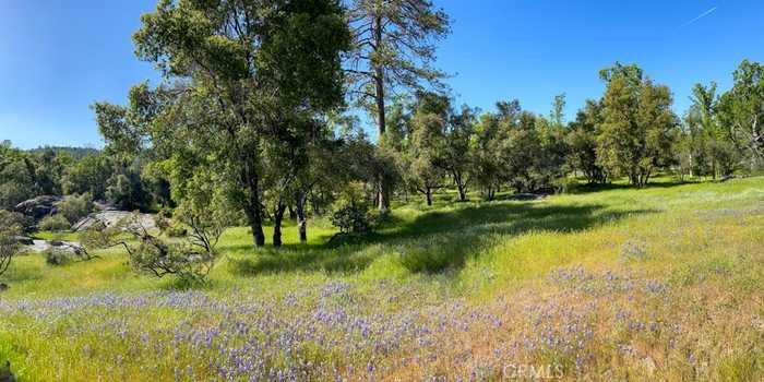 photo 70: 4683 Morningstar Lane, Mariposa CA 95338