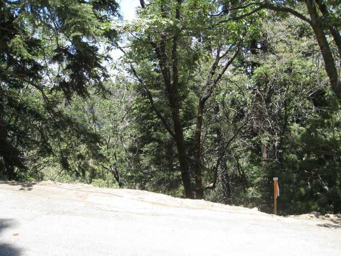 photo 1: Forest Lane, Twin Peaks CA 92391