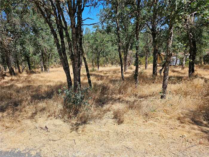 photo 3: 15676 34th Avenue, Clearlake CA 95422