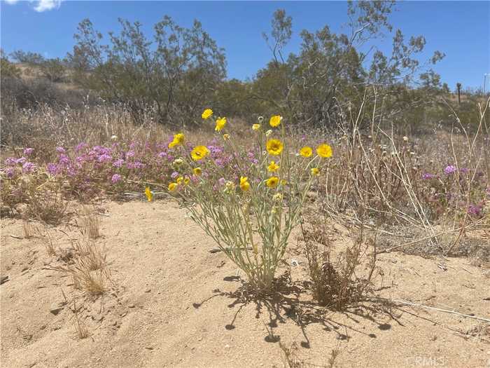 photo 1: 20 Acres, Yucca Valley CA 92285