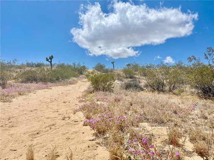 photo 15: 20 Acres, Yucca Valley CA 92285