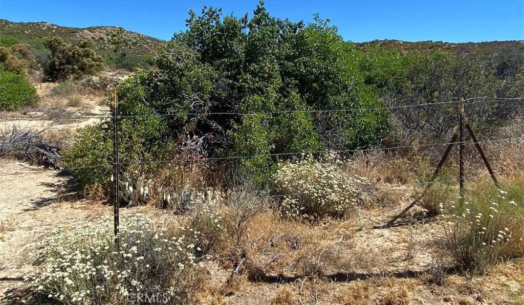 photo 3: 42617 Wild Horse Trail, Anza CA 92539