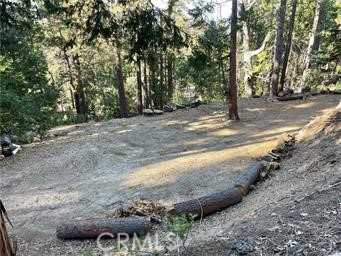 photo 1: Fernland Drive, Idyllwild CA 92549