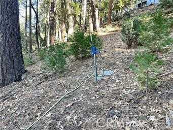 photo 3: Fernland Drive, Idyllwild CA 92549