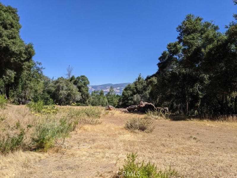 photo 1: 6535 Pleasant Court, Kelseyville CA 95451