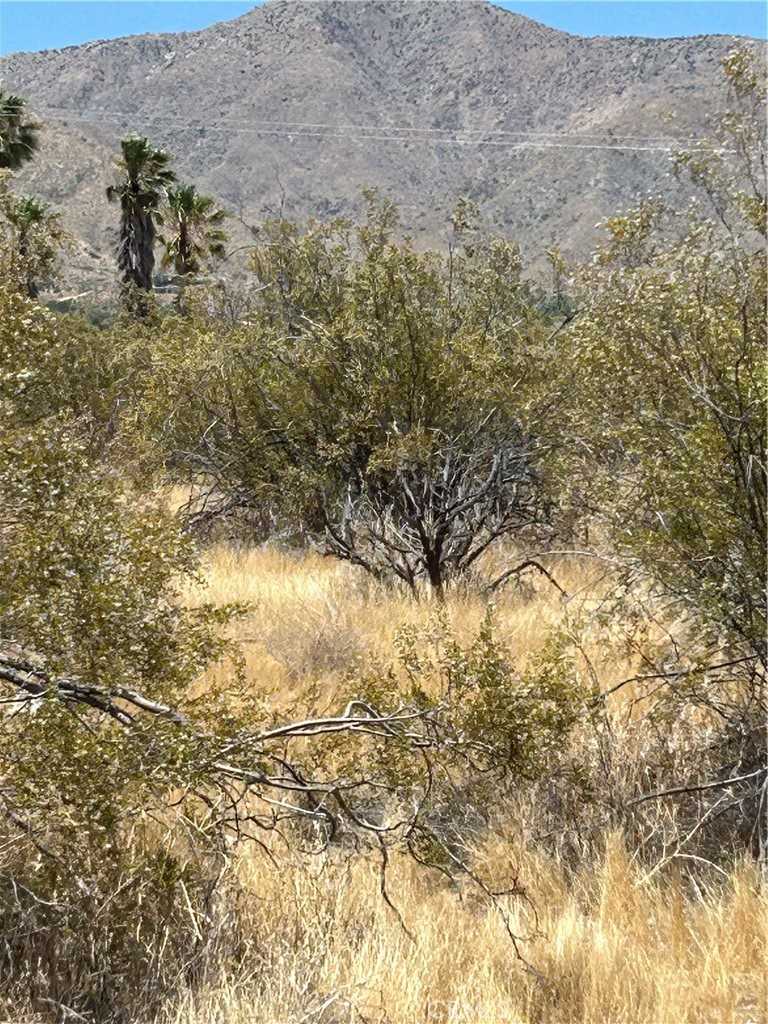 photo 3: Green Trl., Morongo Valley CA 92256