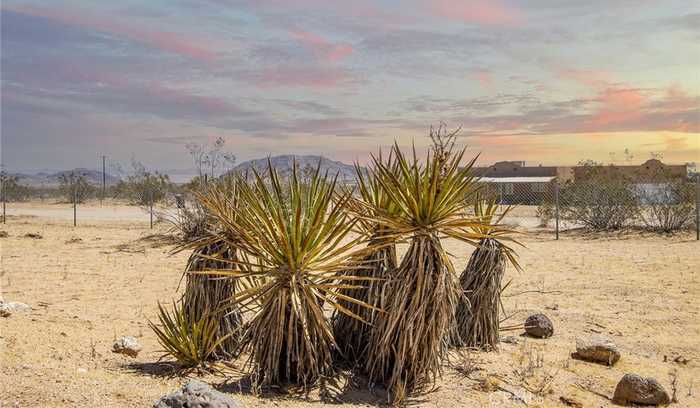 photo 2: 1348 Fortuna Avenue, Landers CA 92285