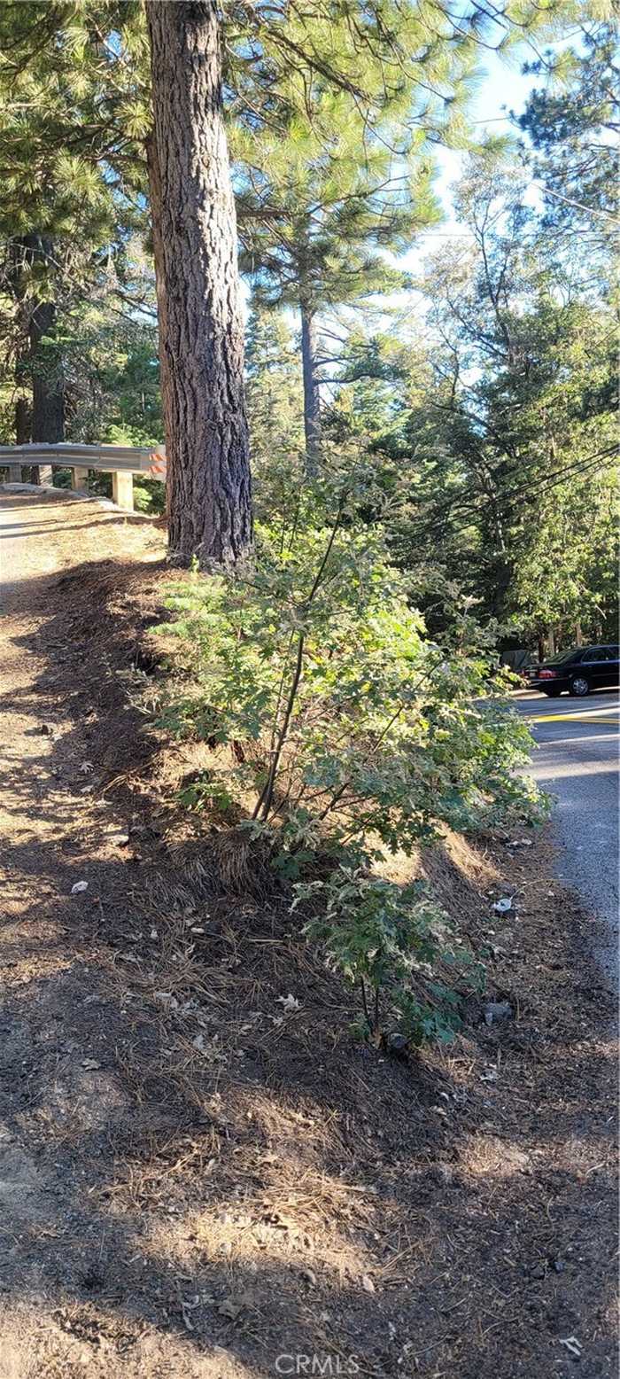 photo 1: Arrowhead Villa Rd, Lake Arrowhead CA 92352