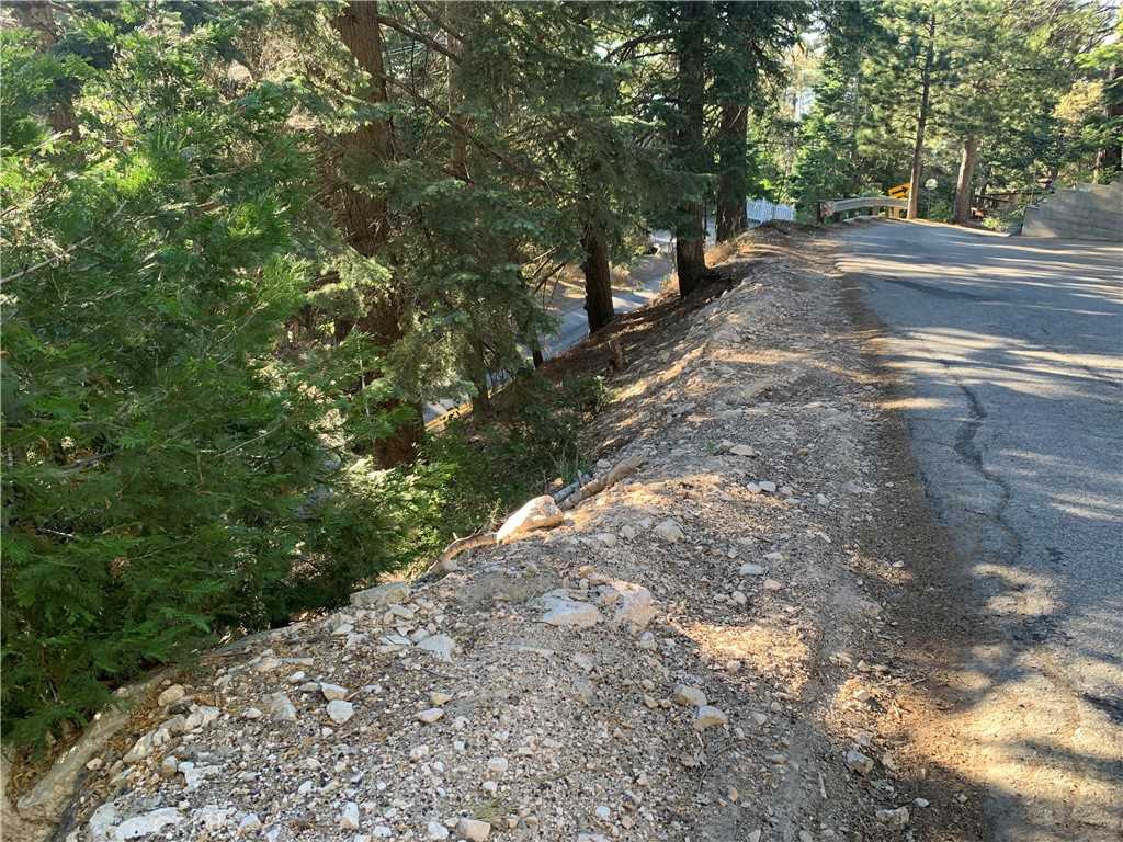 photo 1: Arrowhead Villa Rd, Lake Arrowhead CA 92352