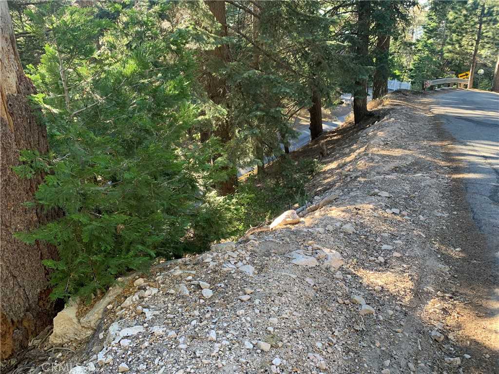 photo 3: Arrowhead Villa Rd, Lake Arrowhead CA 92352