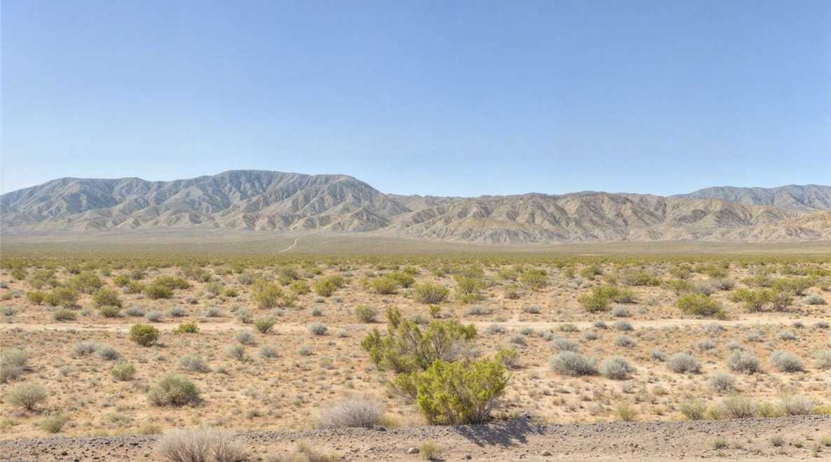 photo 3: 777 One Whole Spring Road, Lucerne Valley CA 92356