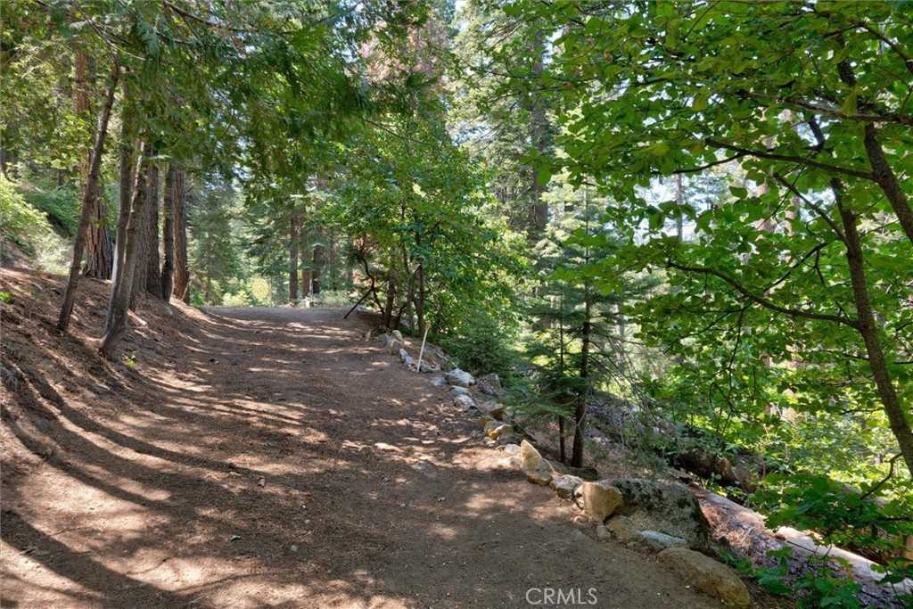 photo 3: 7419 Henness Ridge Road, Yosemite CA 95389