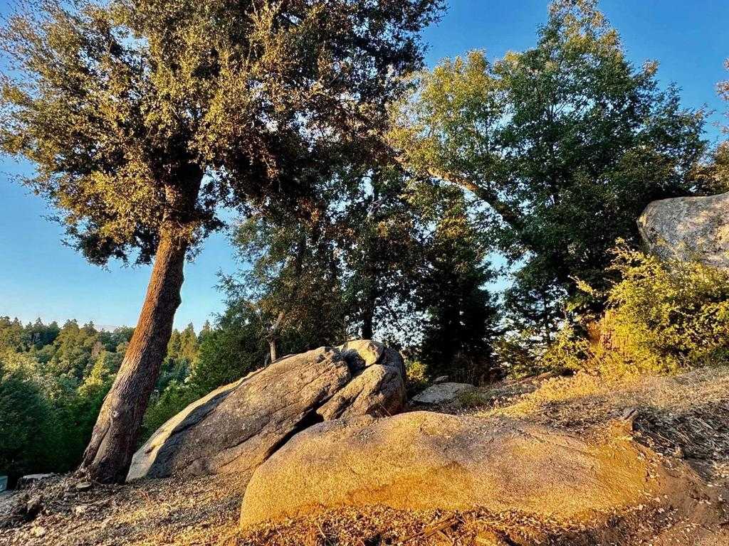 photo 2: 10 Acres Greenfield Way, Palomar Mountain CA 92060