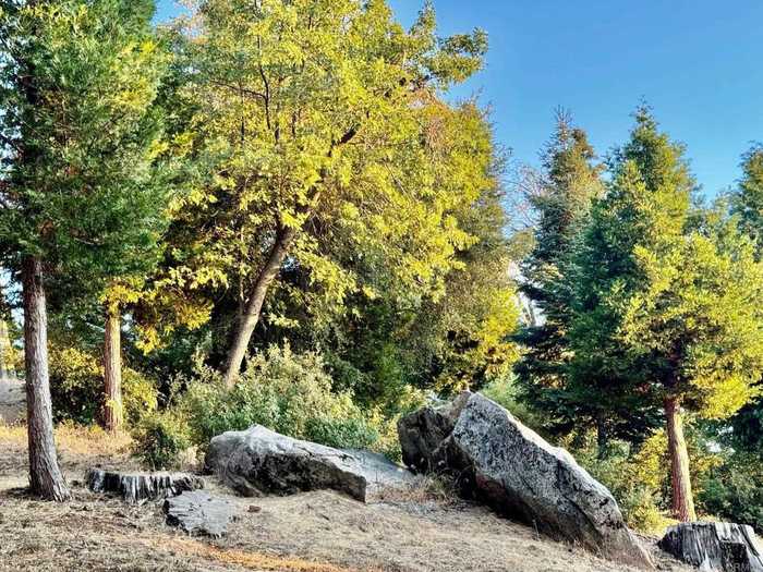 photo 2: 10 Acres Greenfield Way, Palomar Mountain CA 92060