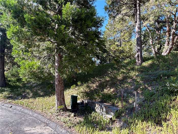 photo 1: 28970 Partridge Place, Lake Arrowhead CA 92352