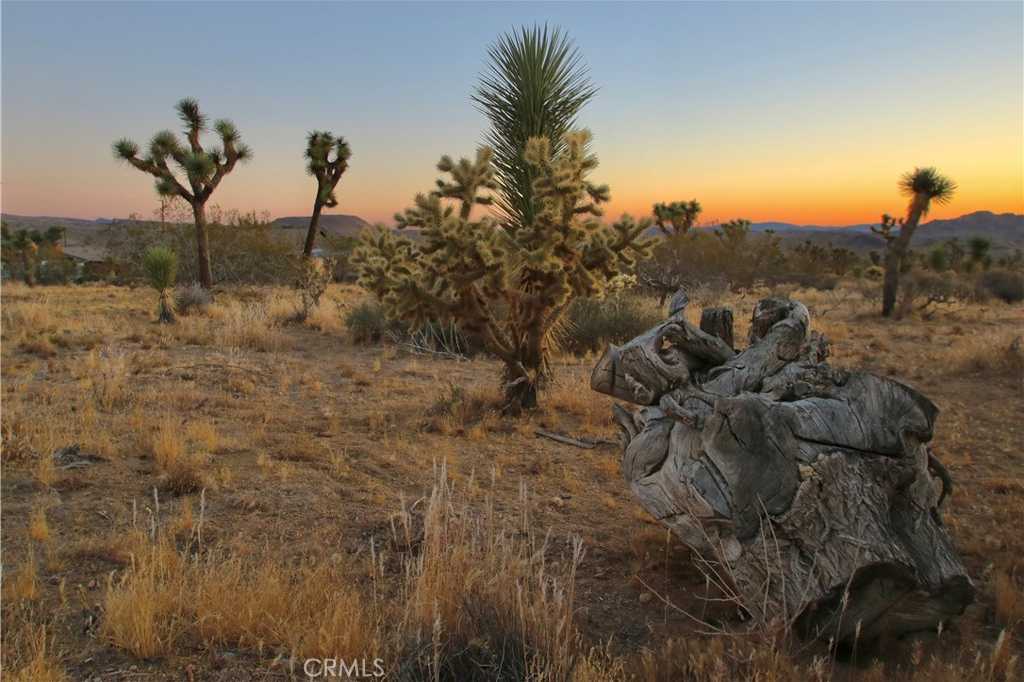 photo 2: 7635 La Contenta Road, Joshua Tree CA 92284