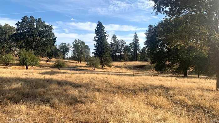 photo 1: 5644 Sierra Meadows Lane, Mariposa CA 95338