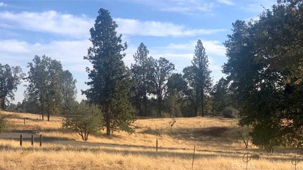 photo 3: 5644 Sierra Meadows Lane, Mariposa CA 95338