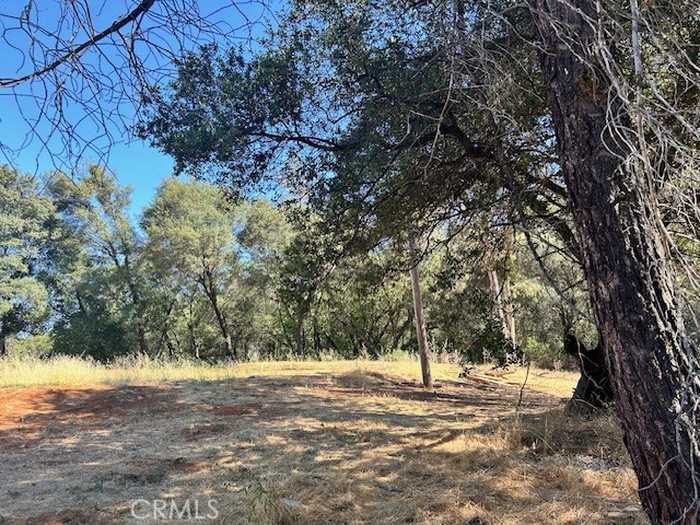 photo 15: 1403 Forbestown Road, Oroville CA 95966