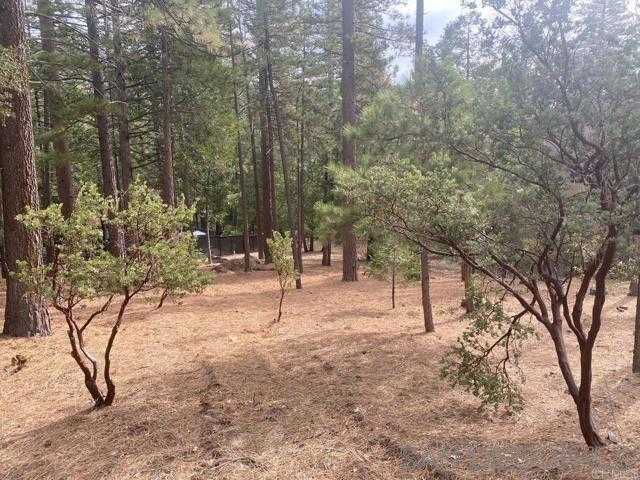 photo 1: Big Pine Rd, Idyllwild CA 92549