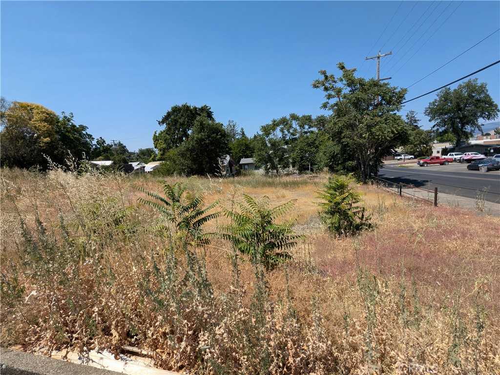 photo 1: 455 N Forbes Street, Lakeport CA 95453