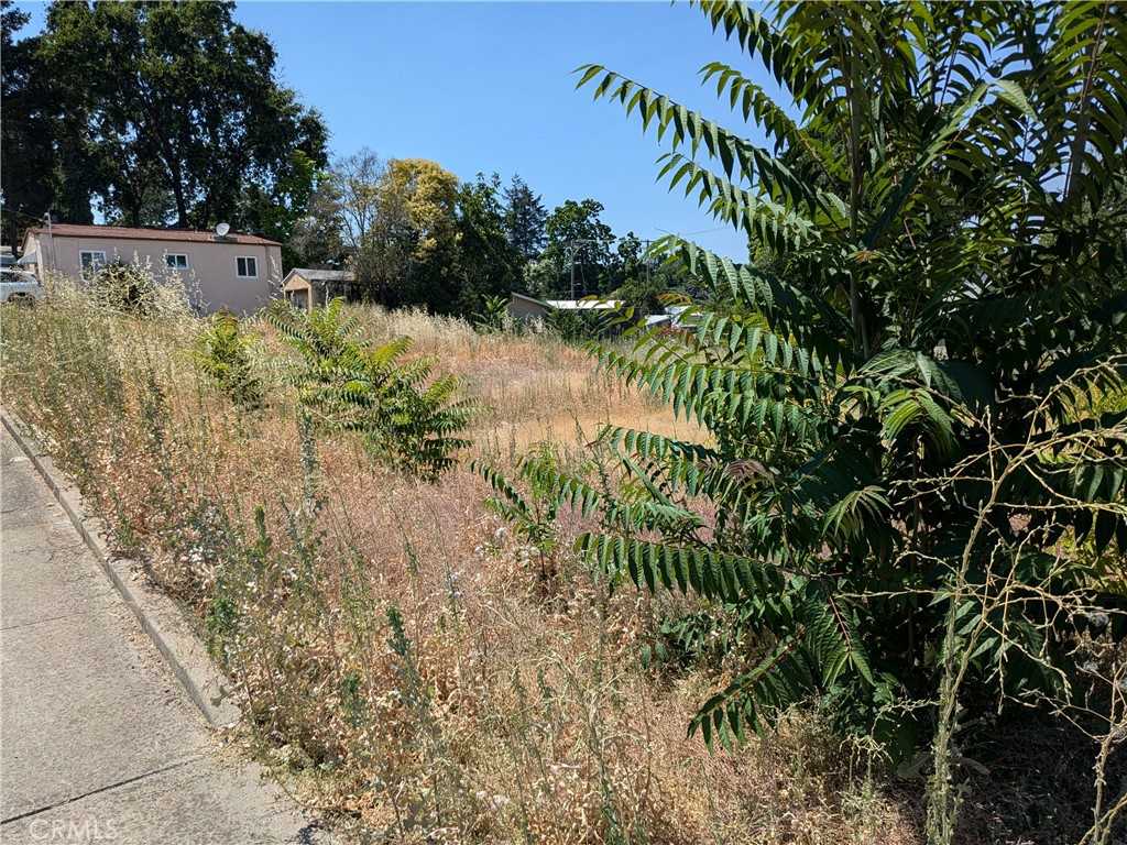 photo 3: 455 N Forbes Street, Lakeport CA 95453