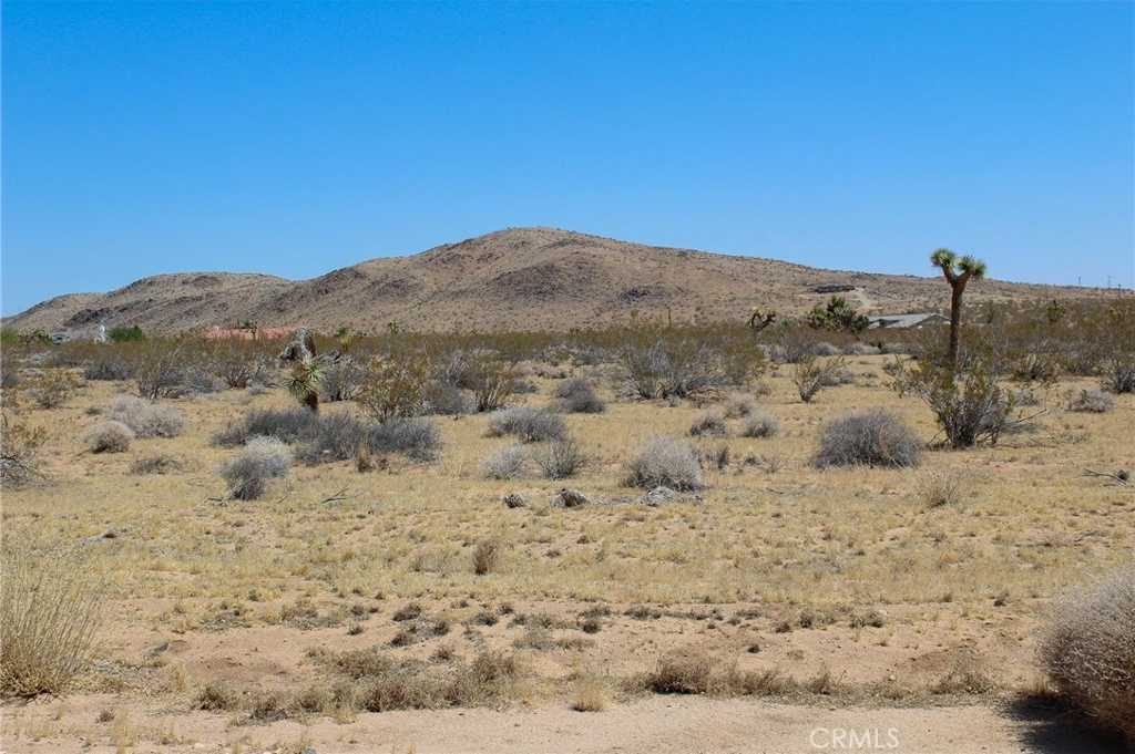 photo 1: Duvall Drive, Joshua Tree CA 92252