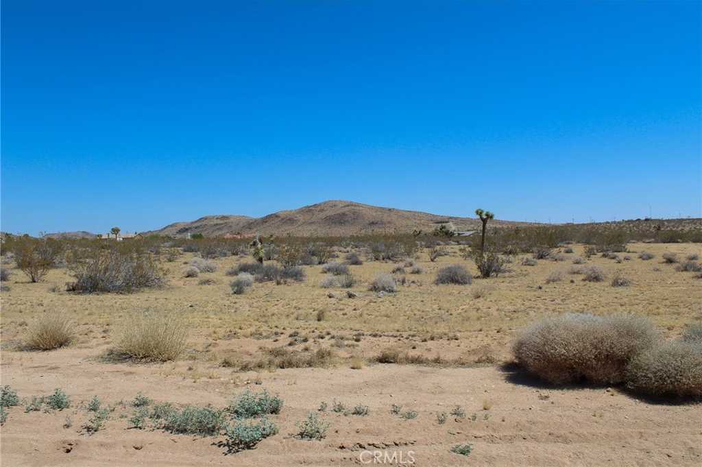 photo 3: Duvall Drive, Joshua Tree CA 92252