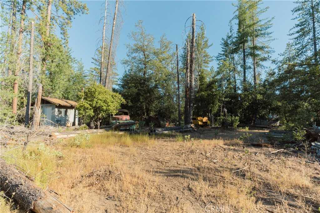 photo 2: 10902 Stout Lane, Coulterville CA 95311