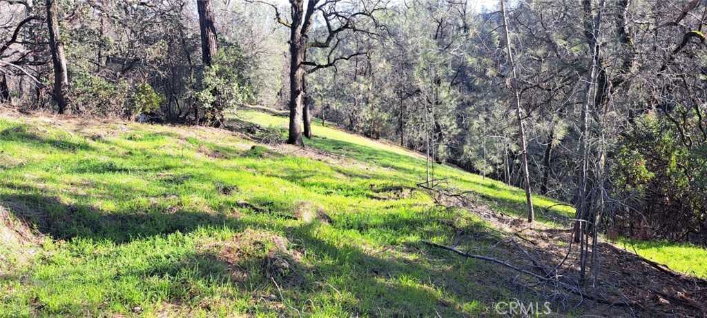 photo 3: 7356 Knoll Drive, Corning CA 96021