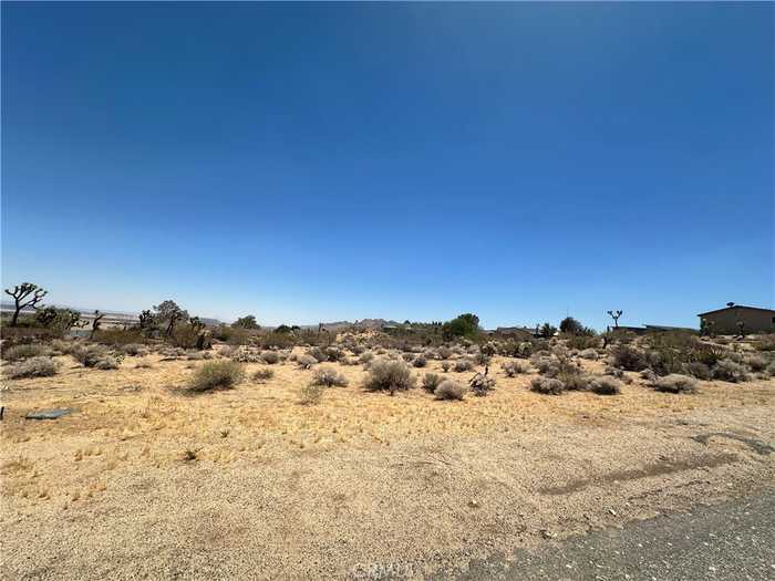 photo 3: 6763 Torres Avenue, Joshua Tree CA 92252