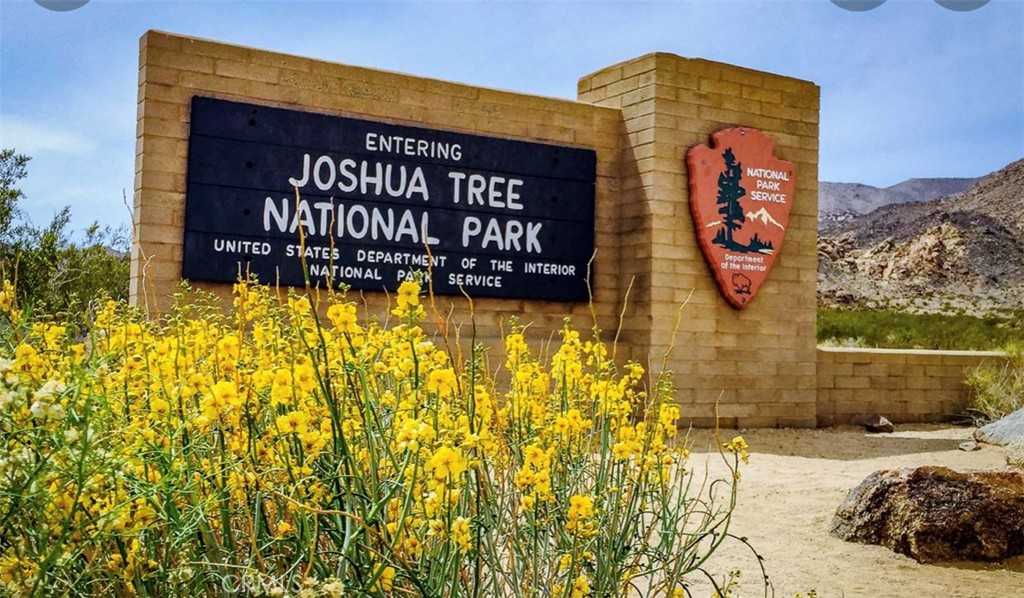 photo 3: Center & Broadway Avenue, Joshua Tree CA 92252