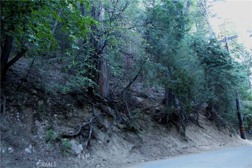 photo 2: Community, Lake Arrowhead CA 92352