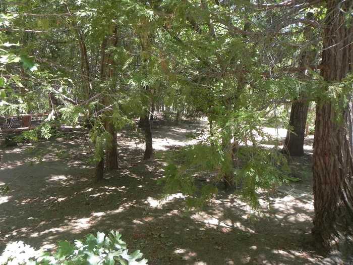 photo 10: 733 Boiling Springs Tract, Mount Laguna CA 91948